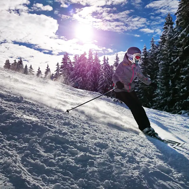 Ski alpin