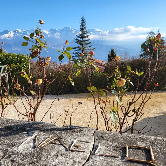 Naëlo Chartreuse Vue