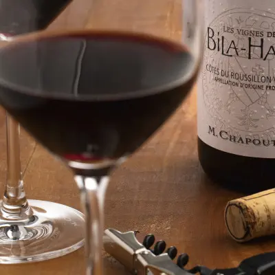 Atelier Découverte  Rhône & Roussillon - M.CHAPOUTIER_Tain-l'Hermitage