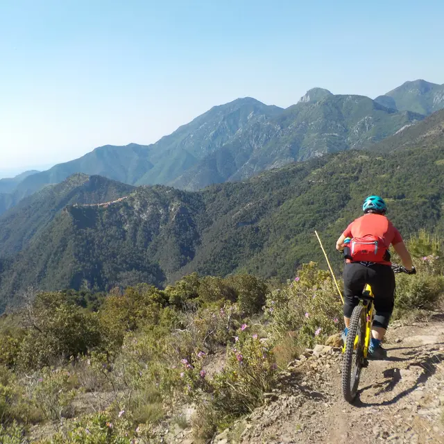 Piene-Haute VTT MTB
