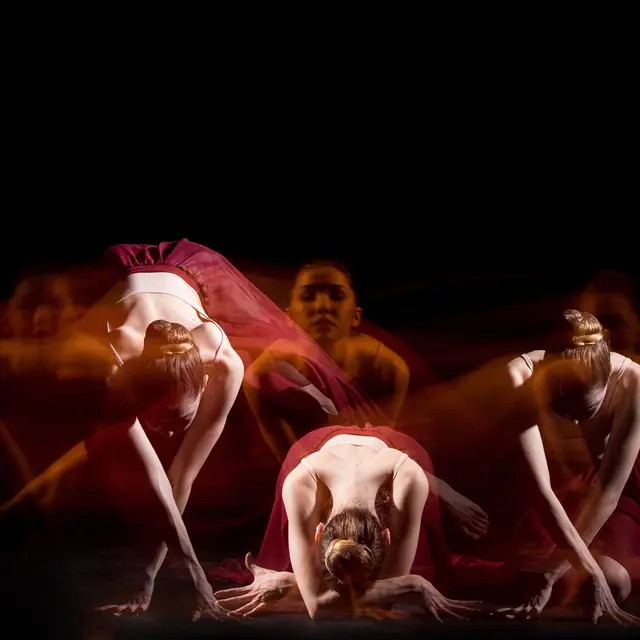 Spectacle de danse par Feeling_La Londe-les-Maures