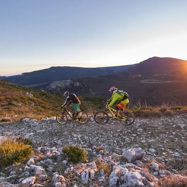 Transverdon VTT