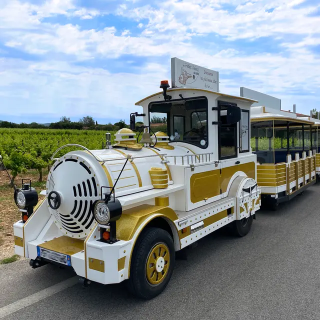 Le Petit Train de La Londe les Maures