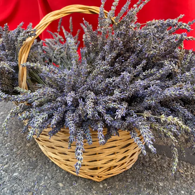 Artisanat & Saveurs des Alpes du Sud 2024