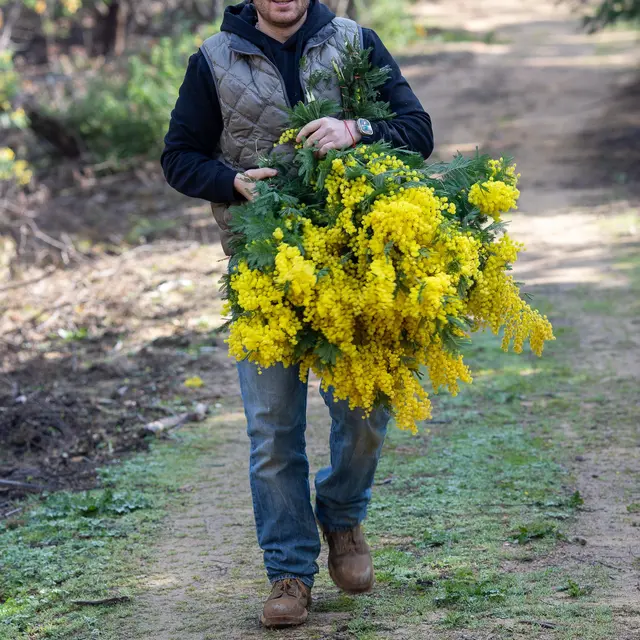 Visite de la passion - bouquets et PARFUM - Chemins parfumés UNESCO_Tanneron