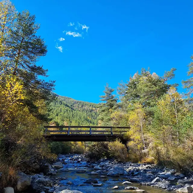 Vue d'un pont en bois au-dessus d'un cours d'eau, encerclé par une forêt de sapins et mélèzes en automne. Ciel bleu en arrière-plan