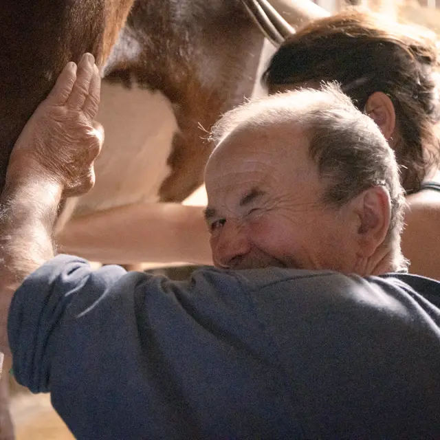Visite de la ferme du Féto