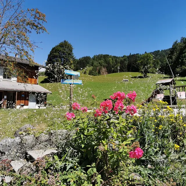 Le Salvagny l'été - Village vacances nature