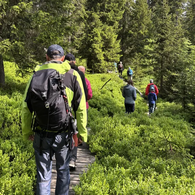 Balade guidée avec l'ONF_Les Saisies