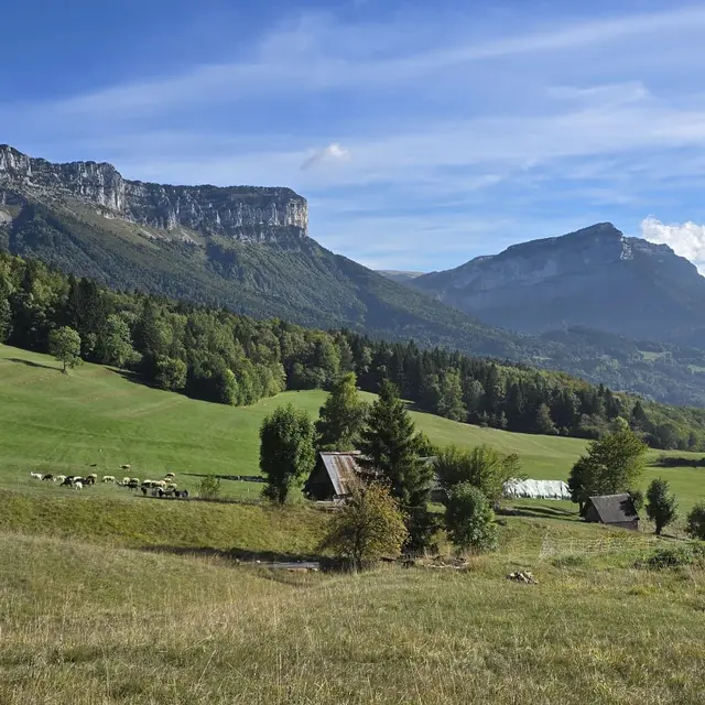 Il était une bergère : le troupeau qui suit l'herbe I Rendez-vous Nature en Savoie_Entremont-le-Vieux