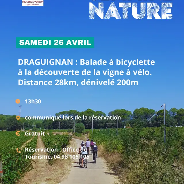A la découverte de la Vigne à vélo_Draguignan