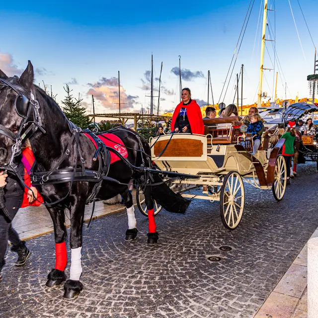 Promenade en calèche_Saint-Tropez