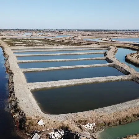 Vue aérienne des marais de la Ferme des Baleines