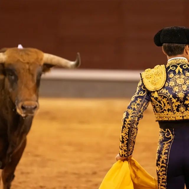 Feria - Novillada non piquée_Alès