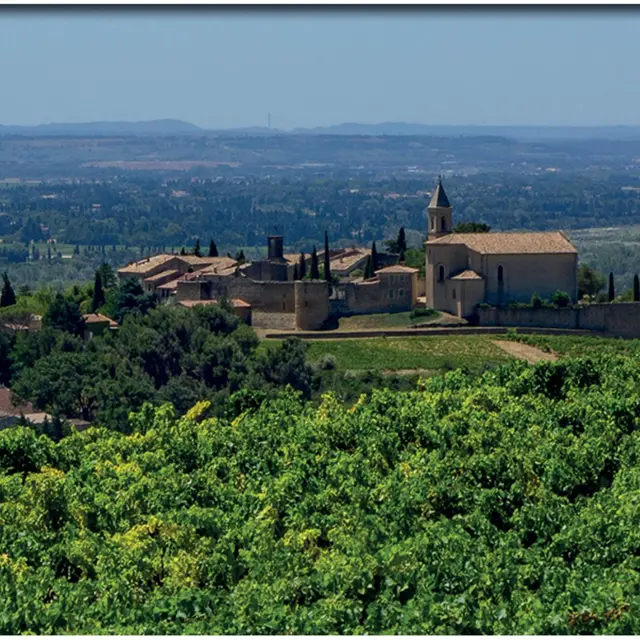La randonnée de Cairanne par Terra Rando_Cairanne
