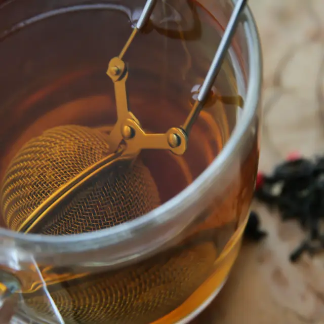 Atelier Herboristerie : découverte des plantes toniques_Montclar