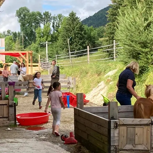 Apprenti vétérinaire