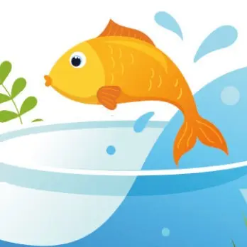 Evènement - Nawruz_Aubervilliers