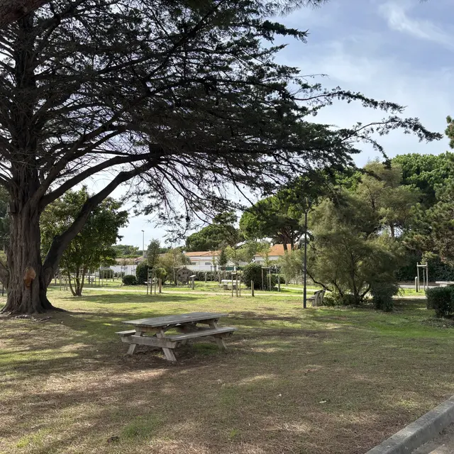 Aire de pique-nique de l'esplanade des Gollandières Le Bois-Plage-en-Ré