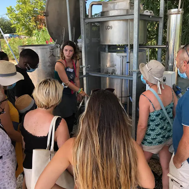 Visites guidées au Mas en Provence