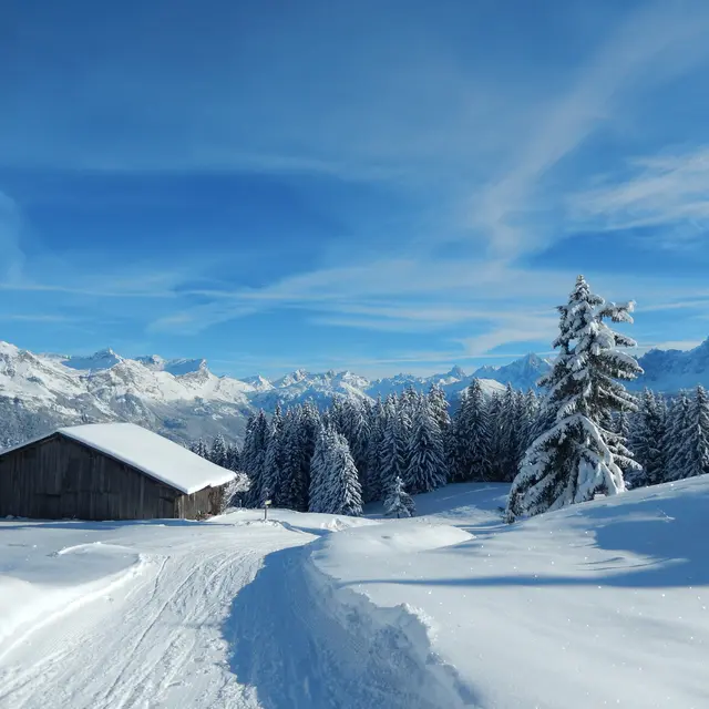 L'alpage de Beauregard