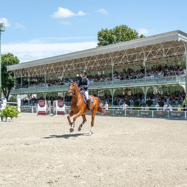 Stade Équestre du Sichon_Vichy