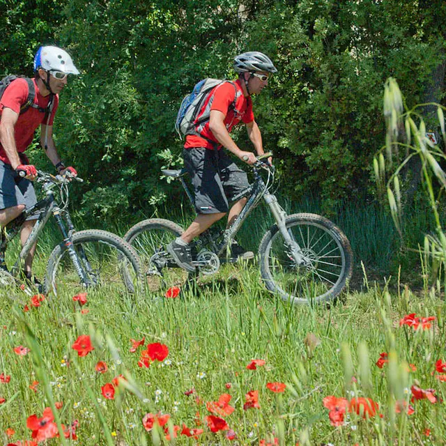 Le Plan de Saint André les Alpes