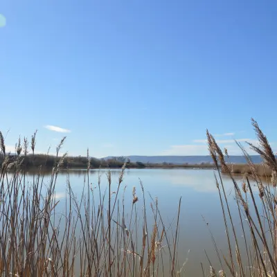 Marignane : Randonnée Nature La Petite Camargue