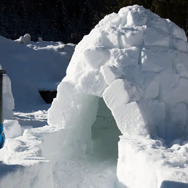 Construction d'igloos