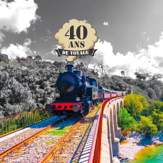 Train à Vapeur des Cévennes_Anduze