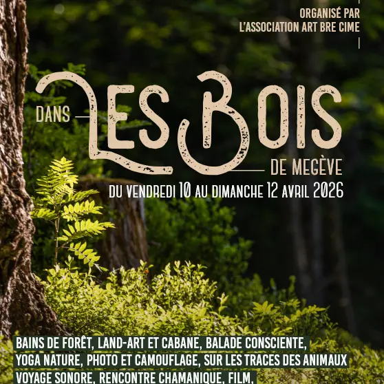 Dans les Bois de Megève_Megève