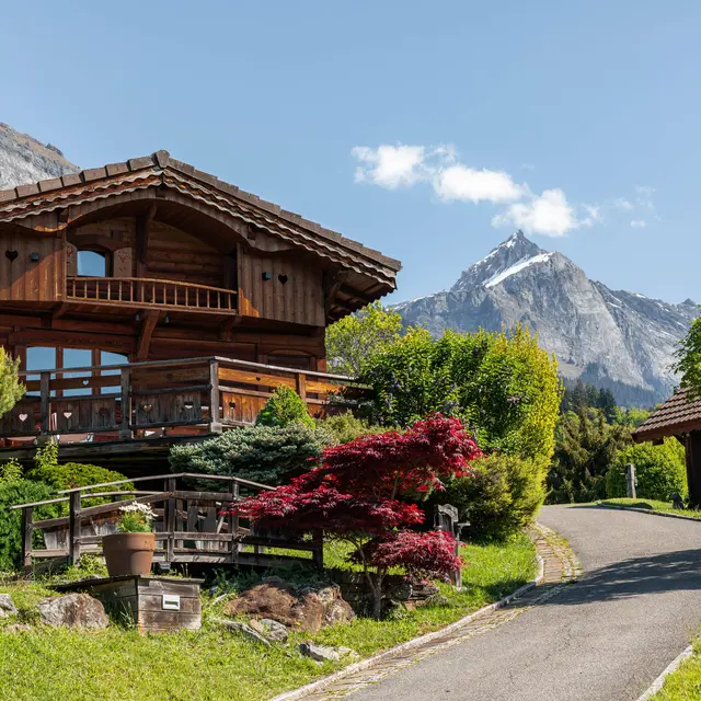 Chalets Les Greniers du Mont-Blanc_Passy