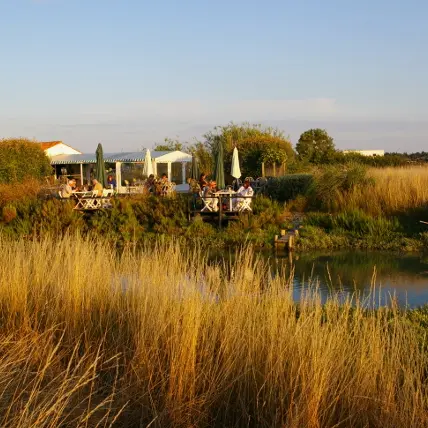 La Cabane du Feneau