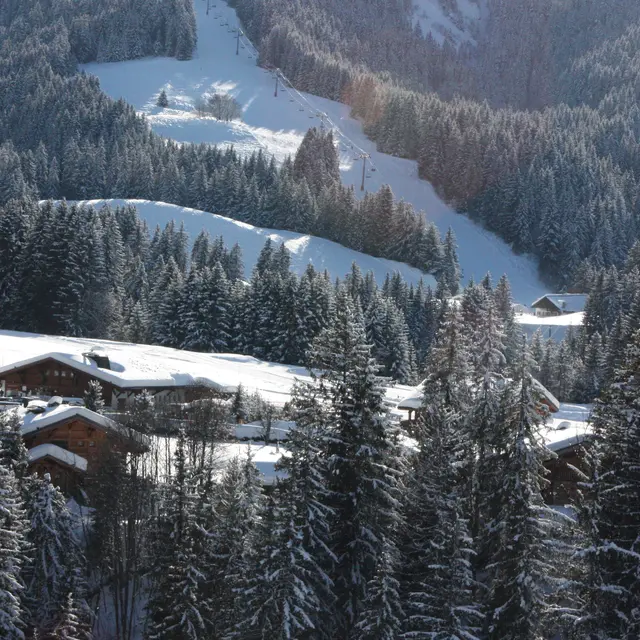 chalets_sapins