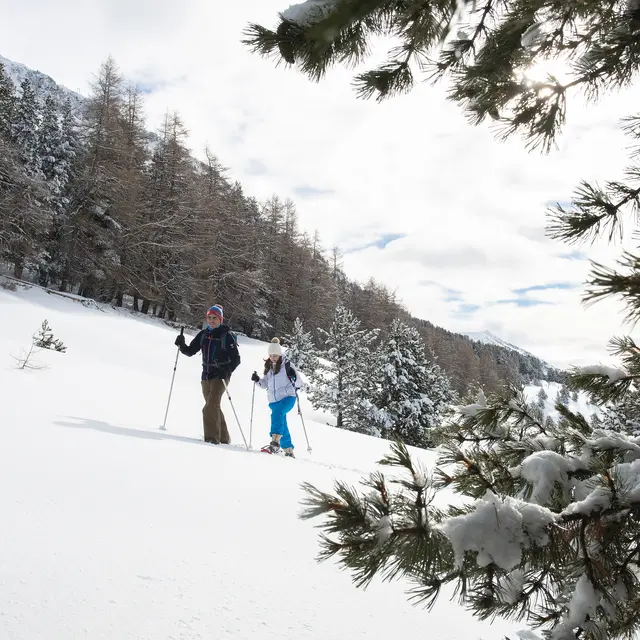 Balcons du Grand Puy -Moyen 4km_Seyne