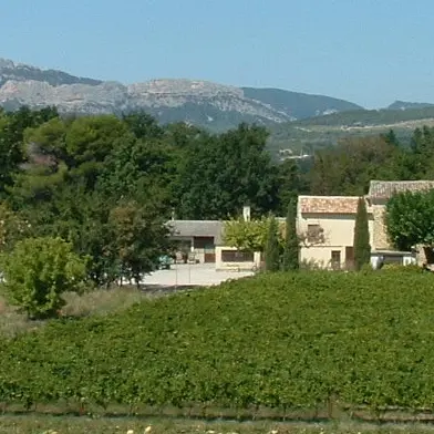 Balade pédestre au Domaine du Vas_Aubignan