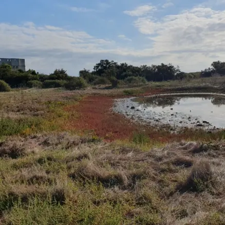 Découvrez la pointe du Grouin avec les écogardes_Loix