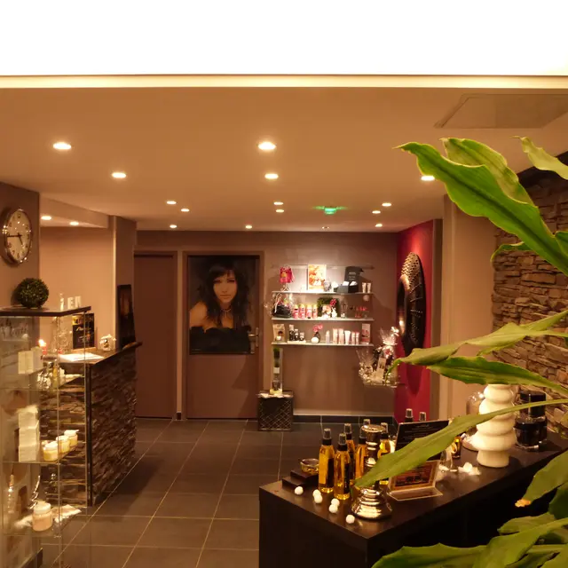 Excellence Spa Entrée Spa