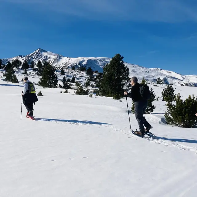 Pyrénées Excursions