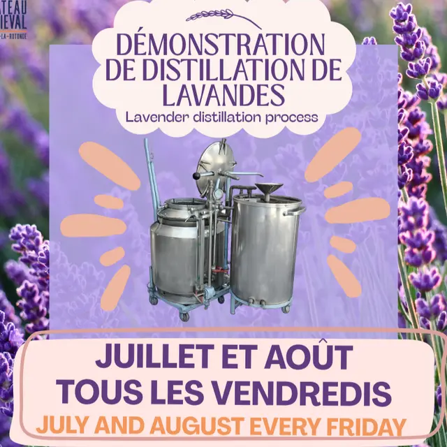 Démonstration de distillation de lavandes_Simiane-la-Rotonde