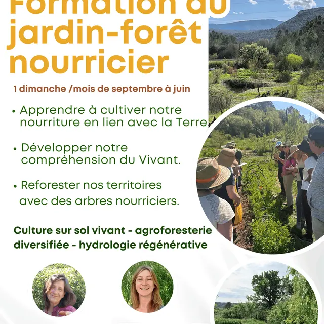 Formation au jardin-forêt nourricier_Tourves