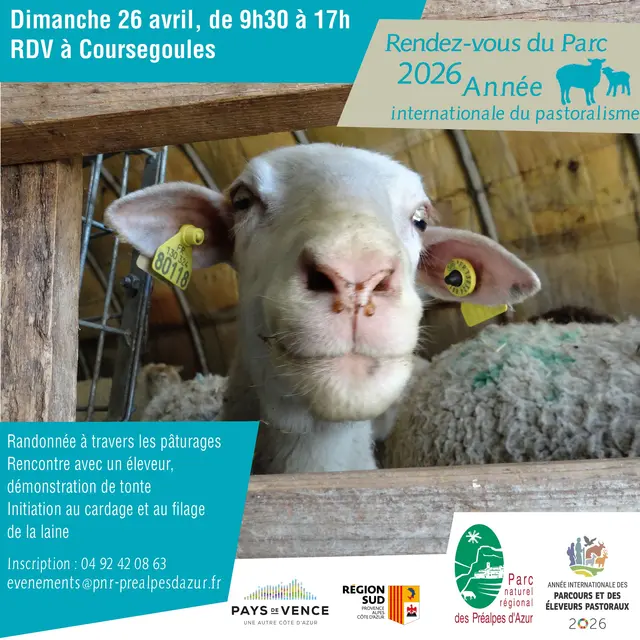 Rendez-vous du Parc à Coursegoules autour de la laine_Coursegoules