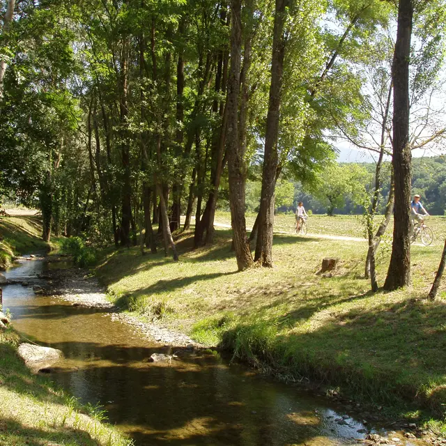 Les bords du Foron