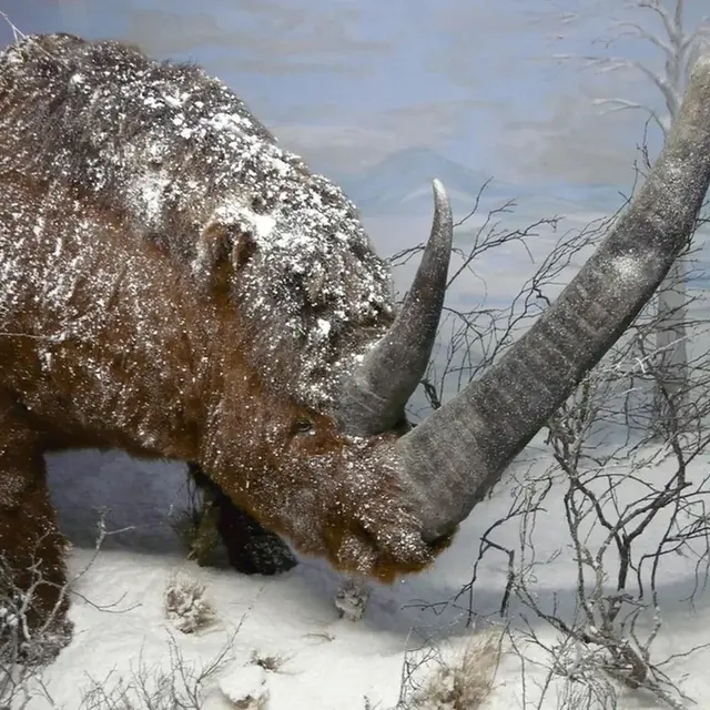 Journées européennes du patrimoine