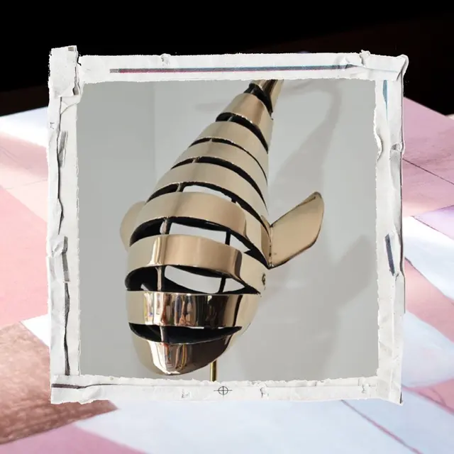 Exposition : Révéler le vivant_Sanary-sur-Mer