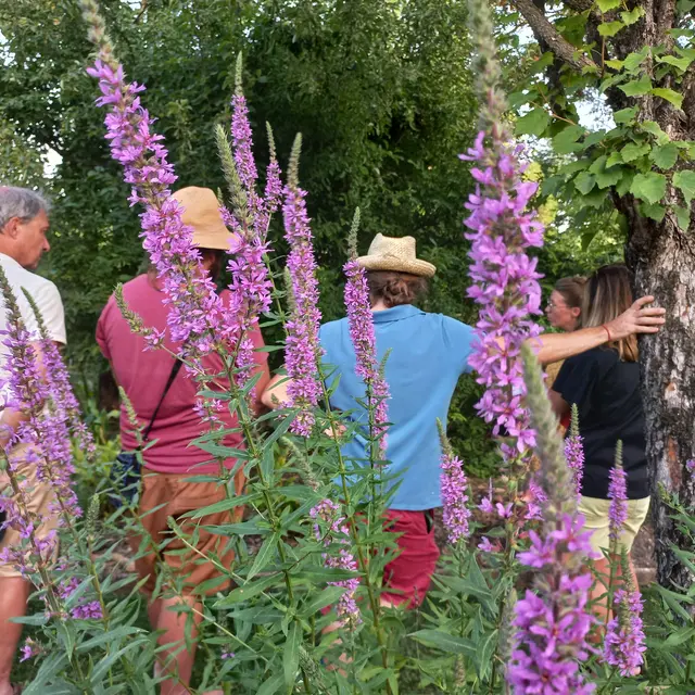 Visites jardins
