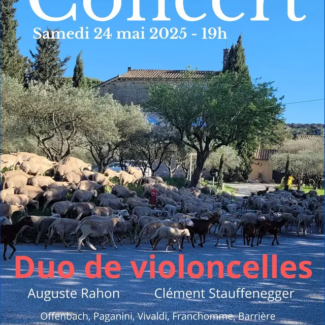 Duo de violoncelles_Roquemaure