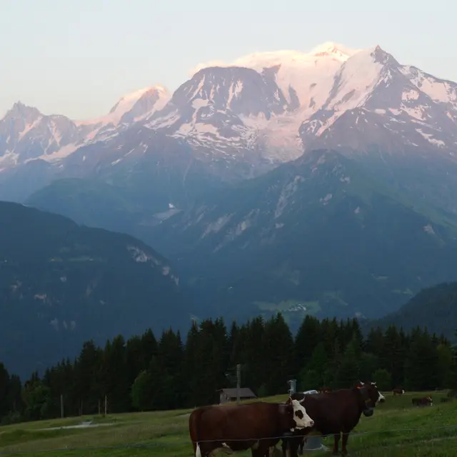 vue depuis la Ferme de l'Avenaz - Saint-Gervais Mont-Blanc