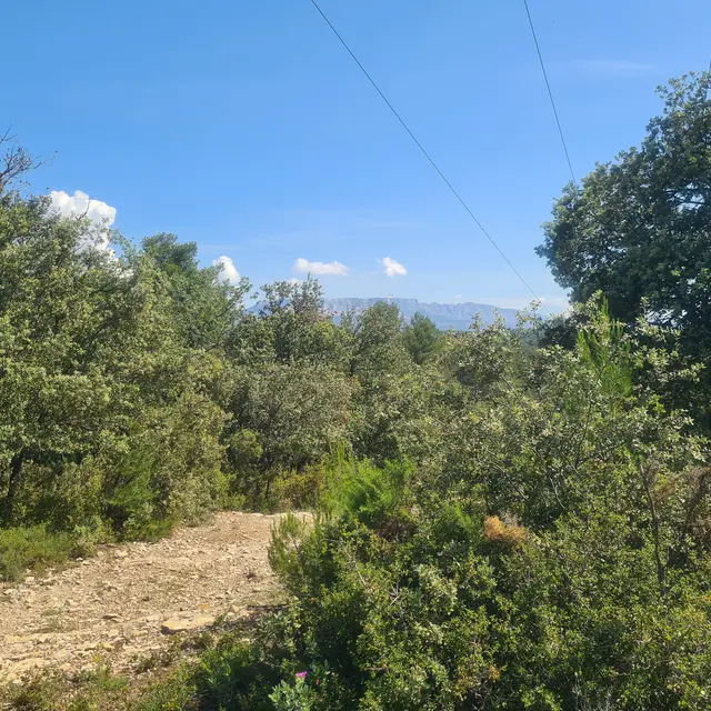 Circuit des Crêtes_Gardanne