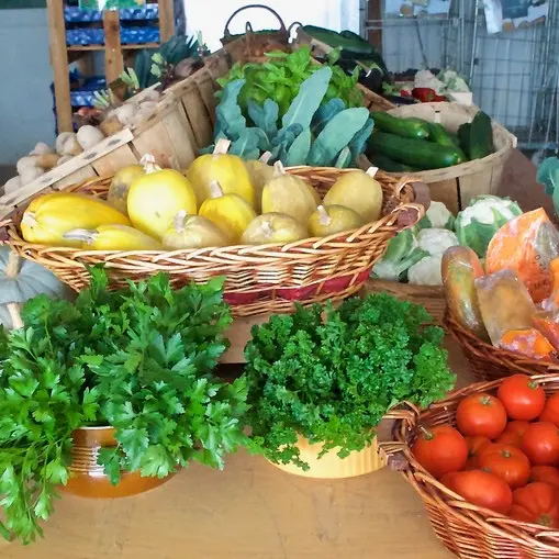 Oasis, Jardins de Cocagne_Saint-Just Saint-Rambert